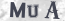 Güvenlik Resmi