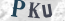 Güvenlik Resmi